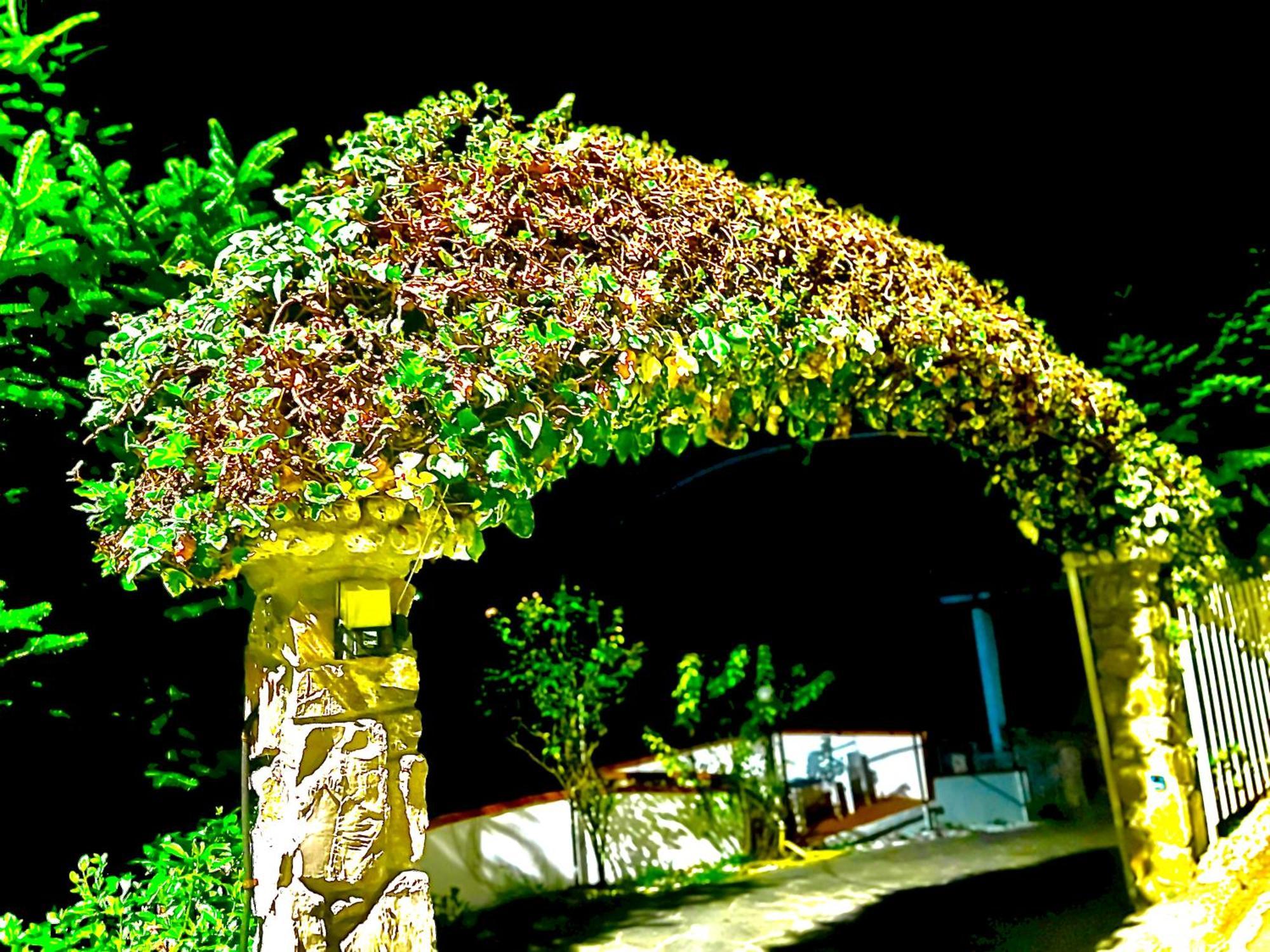 Casa Vacanza Paola Aurigo ภายนอก รูปภาพ